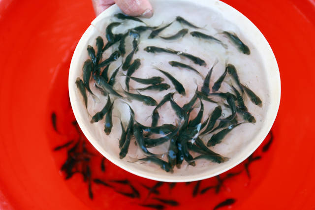 图片说明