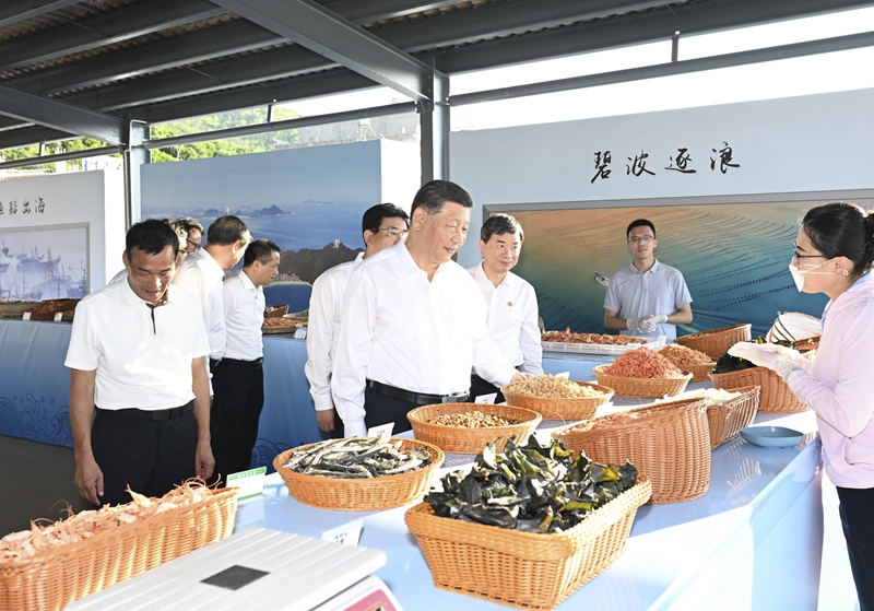 10月15日至16日，中共中央总书记、国家主席、中央军委主席习近平在福建考察。这是15日下午，习近平在漳州市东山县陈城镇澳角村考察时，了解海鲜干货和渔获产品交易情况。