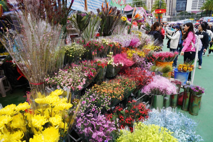 1月23日，人们在香港维多利亚公园年宵市场挑选鲜花。