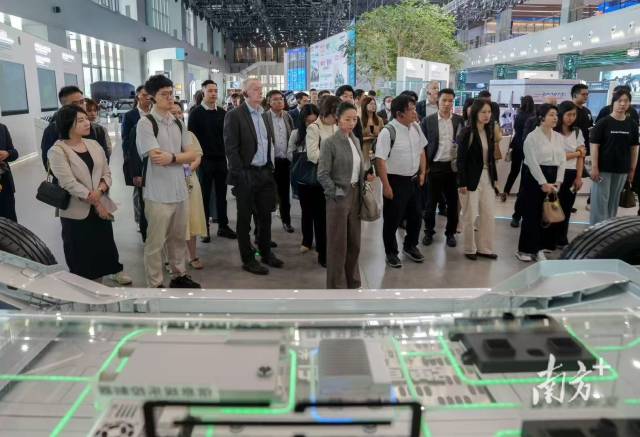 跨国公司、世界500强代表考察南沙。