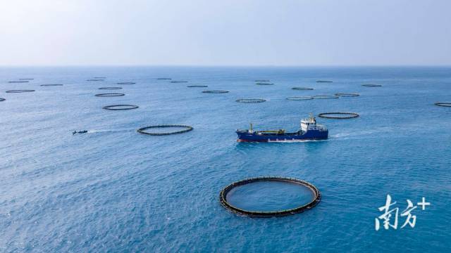 GDP增长4.1%，一季度广东经济数据出炉