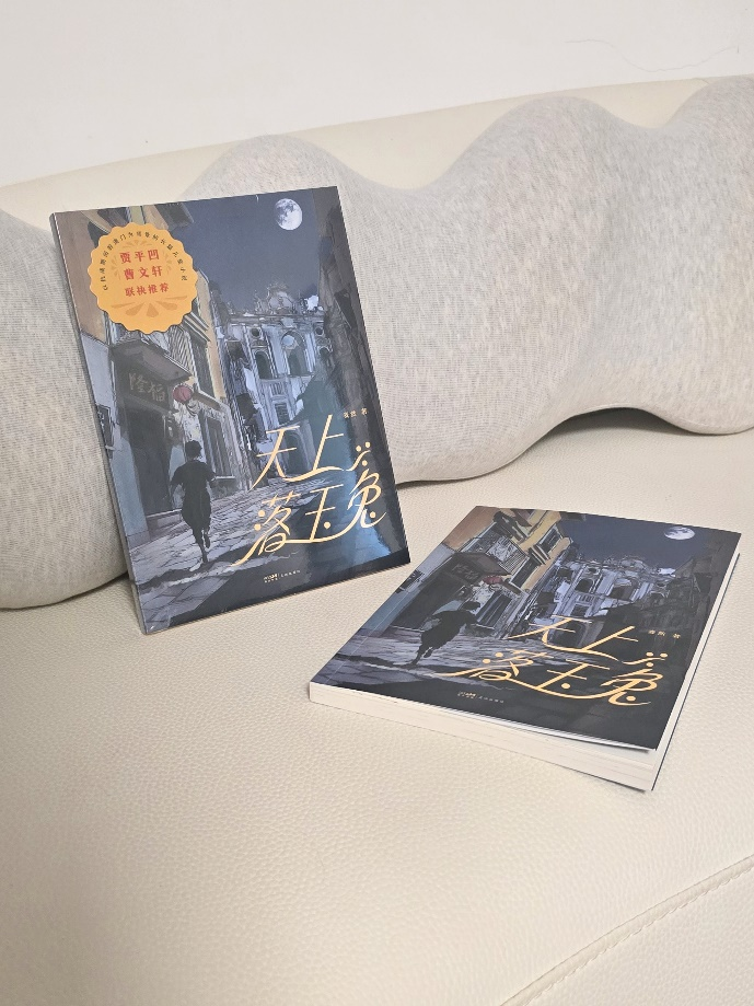 图为小说《天上落玉兔》。