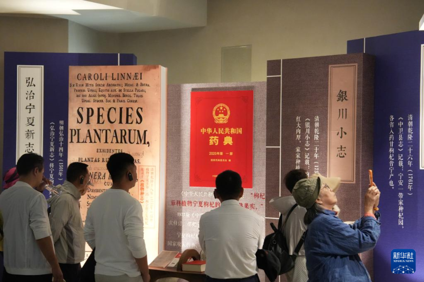 5月24日，港澳台侨同胞参访百瑞源殷红子熟枸杞庄园。