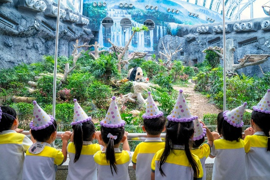 图为澳门孩子们为大熊猫“健健”“康康”献唱生日歌。