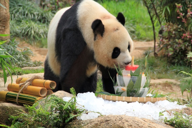 上图为健健享用生日蛋糕。