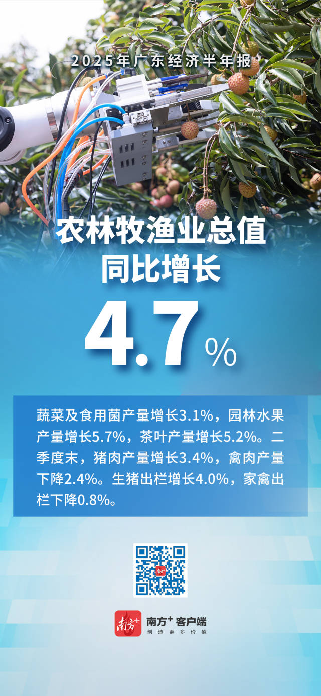 2025广东经济半年报出炉！一组海报带你速览