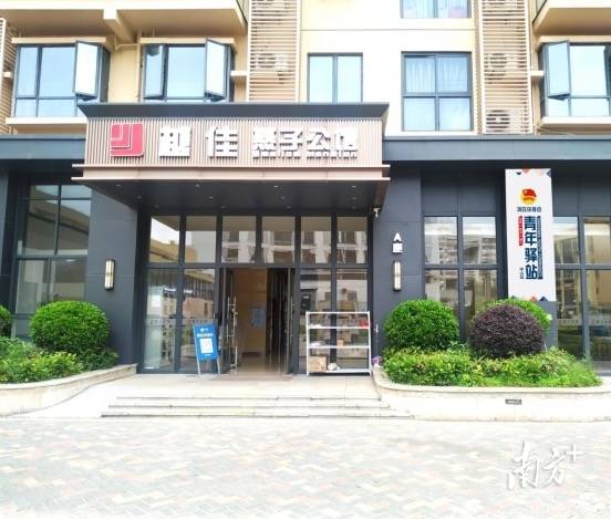 半年多广东如何吸纳超百万高校毕业生？这些“新大湾区人”给出答案