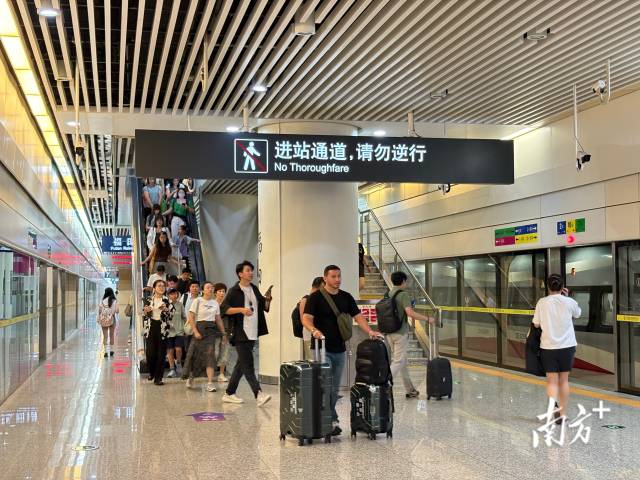 广深港高铁跨境客流今年破2000万人次，暑运期间再创新高