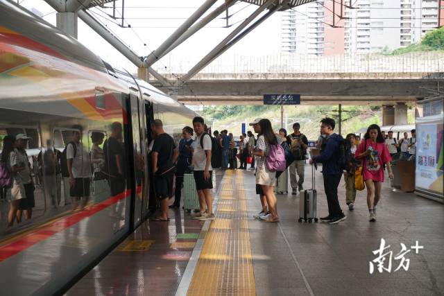 广深港高铁跨境客流今年破2000万人次，暑运期间再创新高